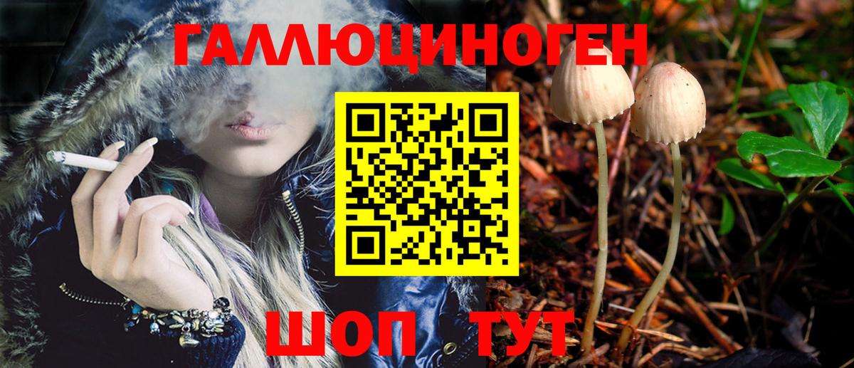 Псилоцибиновые грибы Magic Shrooms  Псилоцибиновые грибы Psilocybe  Лыткарино  Вход с VPN 