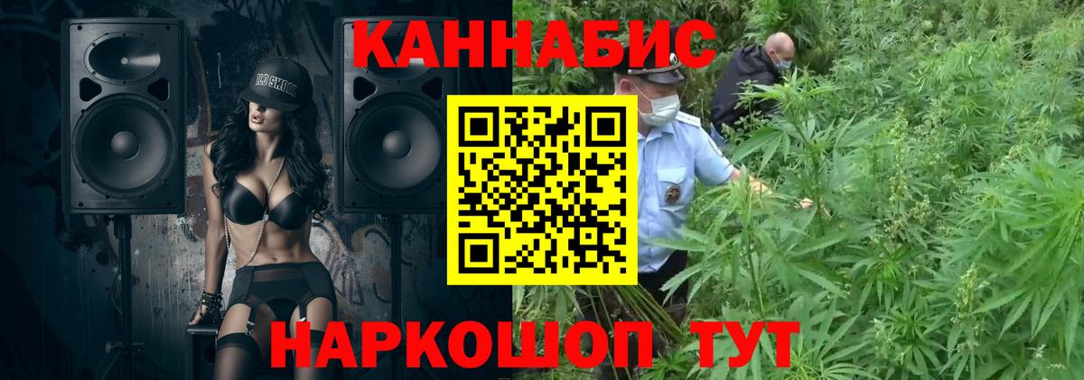 Бошки Шишки гибрид  Конопля индика  Марихуана планчик  Каннабис Amnesia  Лыткарино  Вход с VPN 